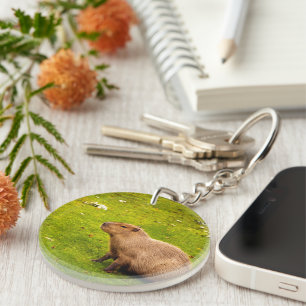 Capybara