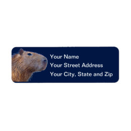 Capybara