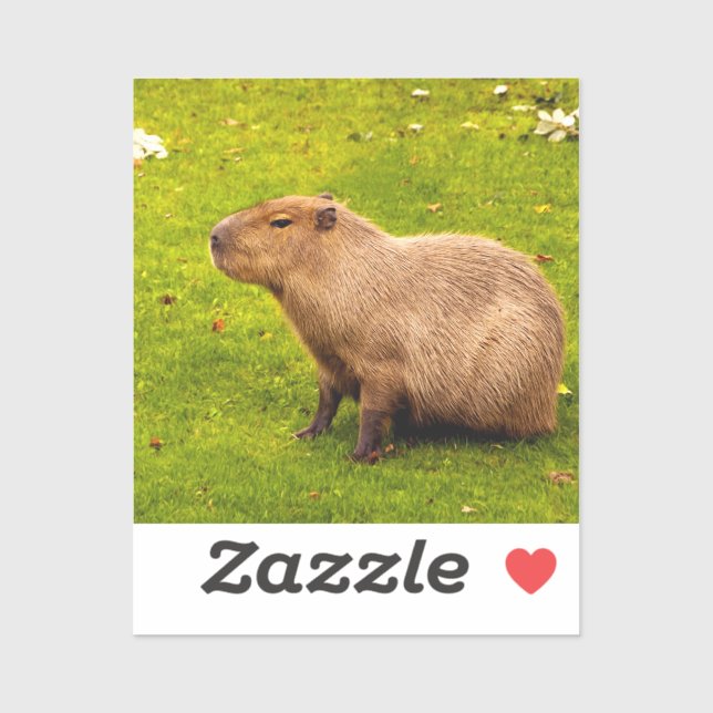 Capybara (Sheet)