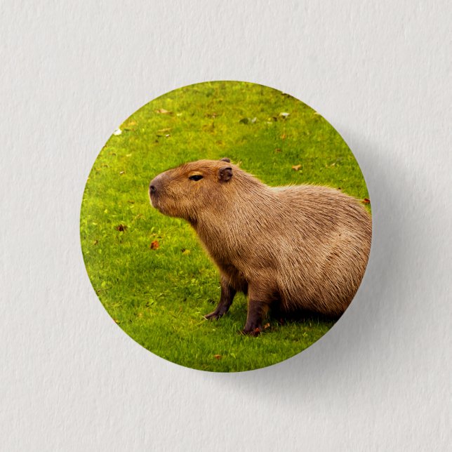 Capybara 1 Inch Round Button (Front)