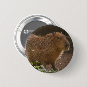Capybara 2 Inch Round Button