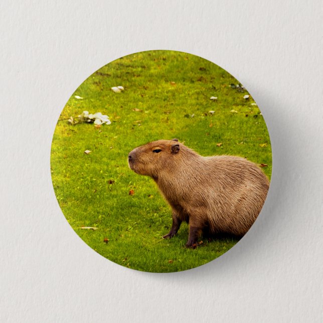 Capybara 2 Inch Round Button (Front)