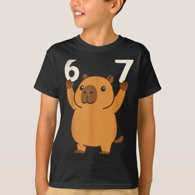 Capybara 67 Meme Six Seven Funny  T-Shirt (Front)