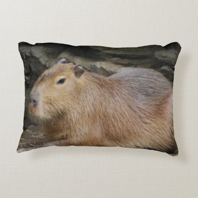 capybara-7 decorative pillow (Back)