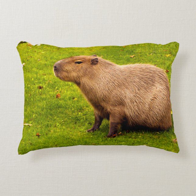 Capybara Accent Pillow (Front)