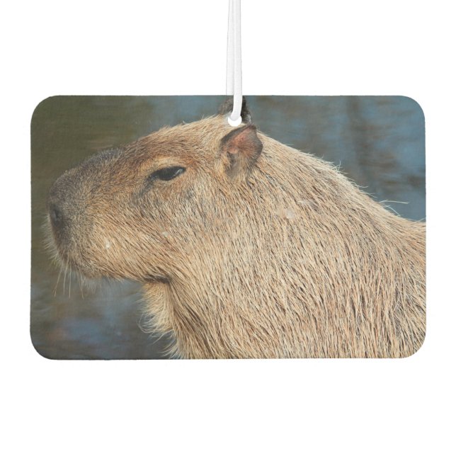 Capybara Air Freshener (Front)