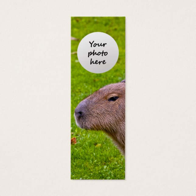 Capybara Animal Incroyable (Devant)