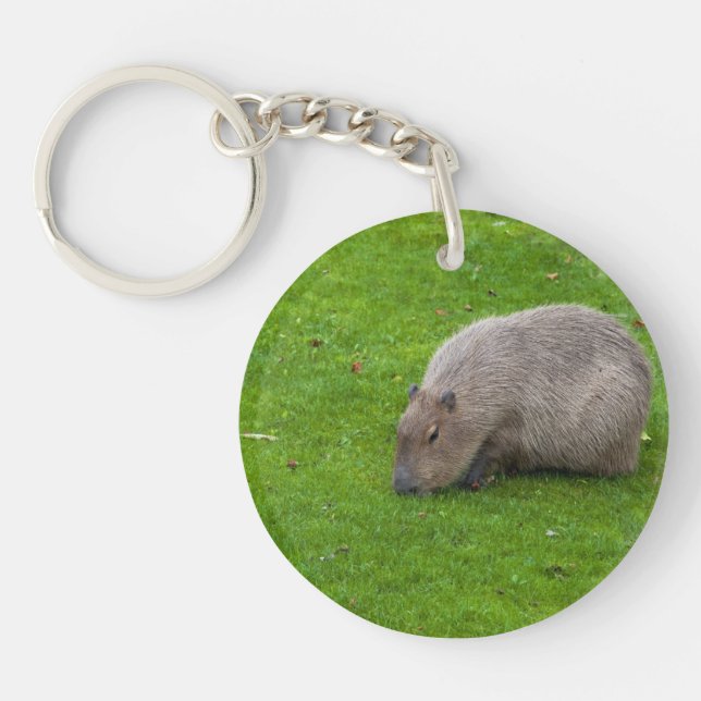 Capybara Animal Incroyable (Devant)