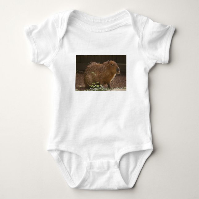 Capybara Baby Bodysuit (Front)