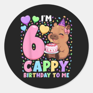 Capybara Birthday Shirt 6 Kawaii Girl Capybara 6th Classic Round Sticker