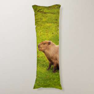 Capybara Body Pillow