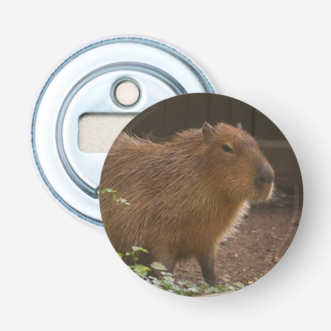 Capybara Bottle Opener (Front)