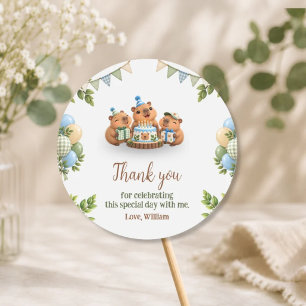 Capybara Capy Party Cute Blue Kawaii Boy Birthday Classic Round Sticker
