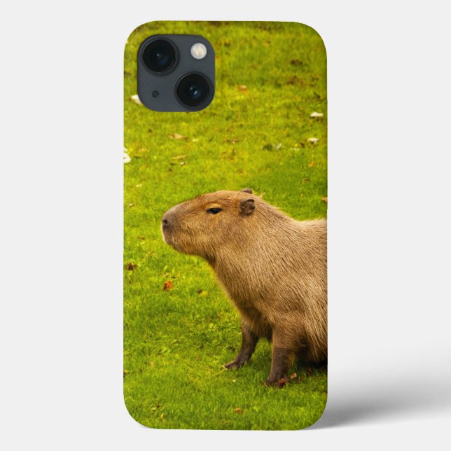 Capybara Case-Mate iPhone Case (Back)
