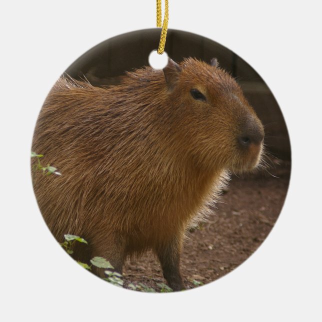 Capybara Ceramic Ornament (Front)