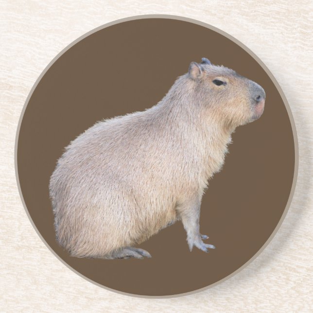 Capybara Coaster (Front)