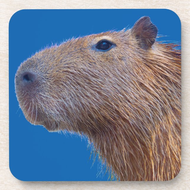 Capybara Coaster (Front)