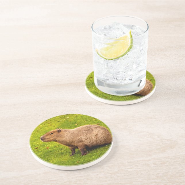 Capybara Coaster (Side)