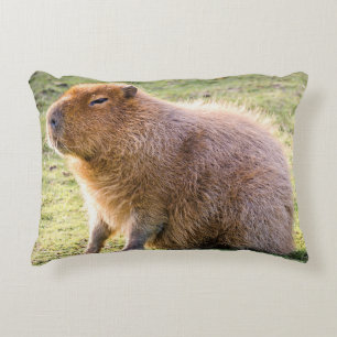 Capybara Cushion