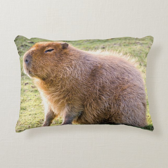 Capybara Cushion (Front)