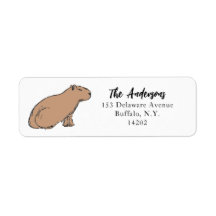 Capybara Cute Animal Retourner Adresse