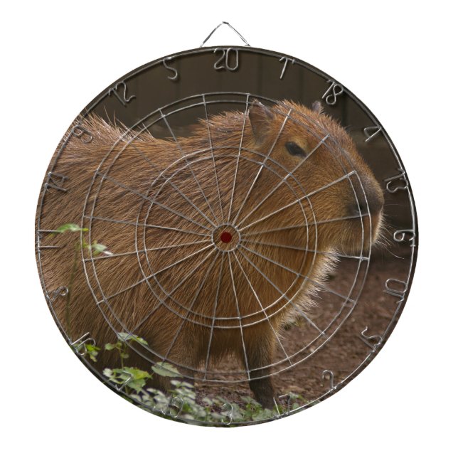 Capybara Dartboard (Front)