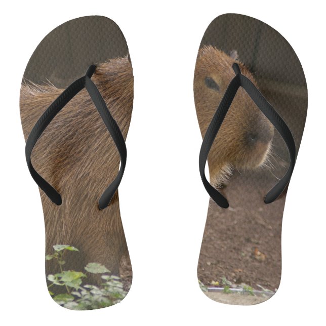 Capybara Flip Flops (Footbed)
