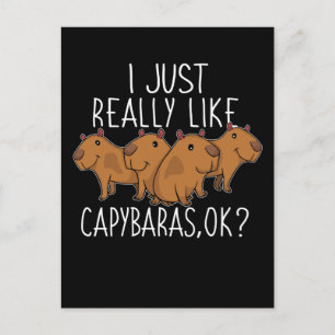 Capybara Gift Kids Women Cute Capybara Postcard