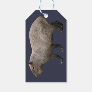 Capybara Gift Tags