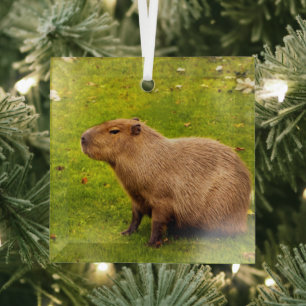 Capybara Glass Ornament