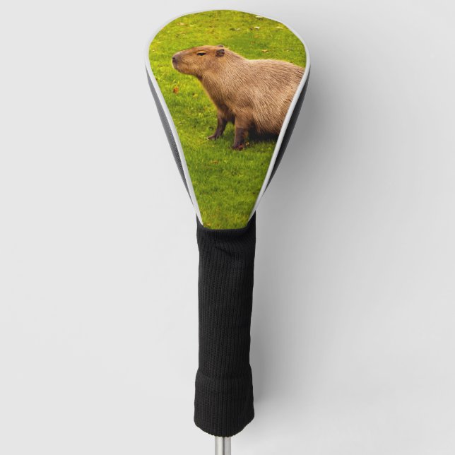 Capybara Golf Head Cover (Front)