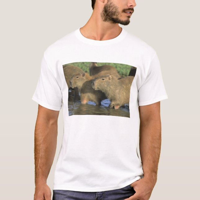 Capybara, Hydrochaeris hydrochaeris), world's T-Shirt (Front)