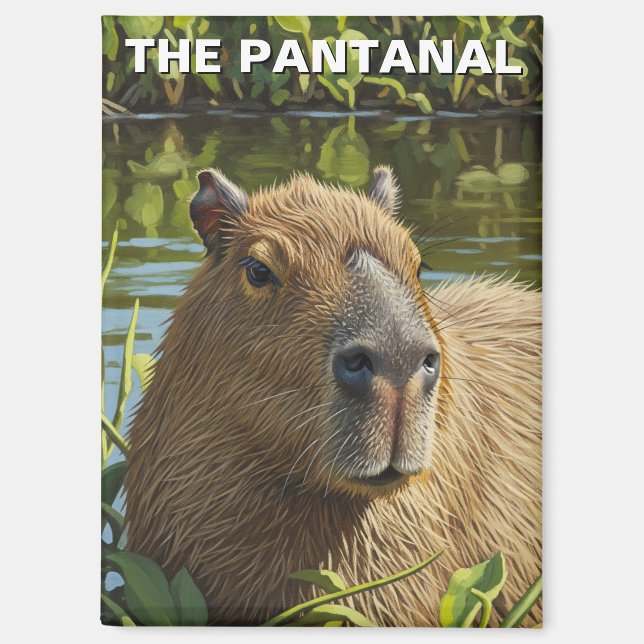 Capybara in The Pantanal Magnet (Front)