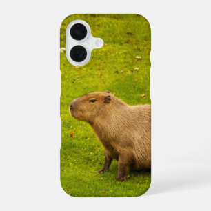 Capybara iPhone 16 Case