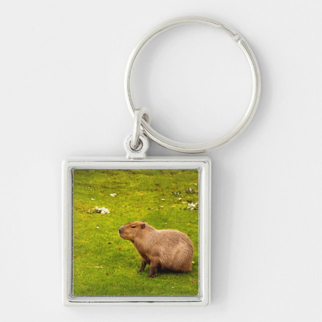 Capybara Keychain (Front)