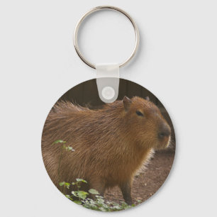 Capybara Keychain