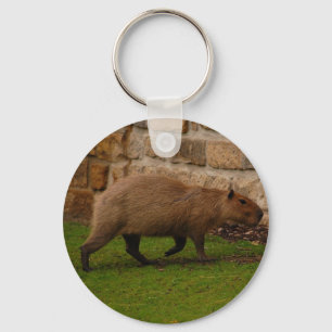 capybara keychain