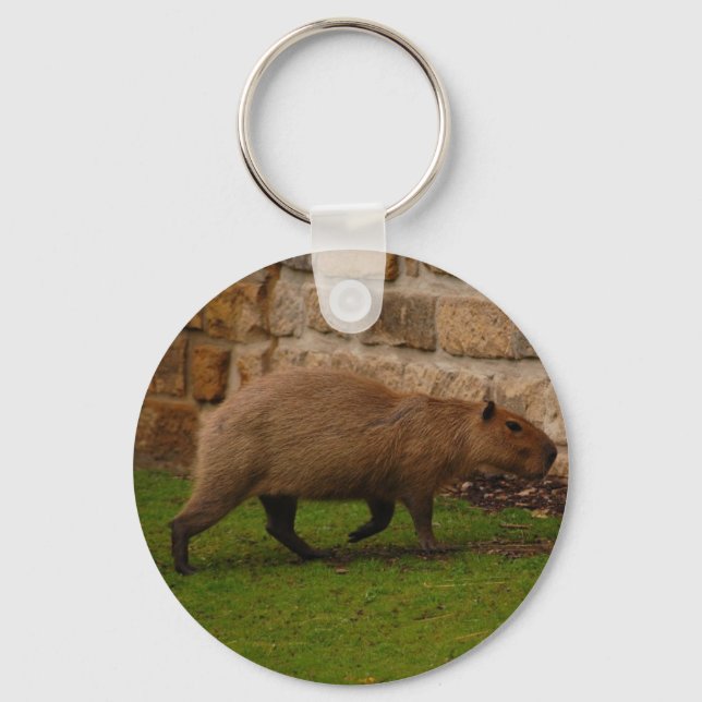 capybara keychain (Front)