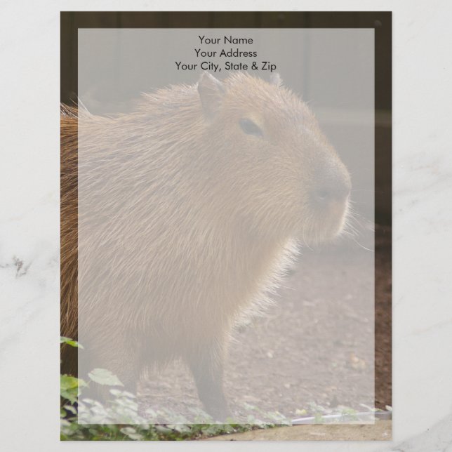 Capybara Letterhead (Front)