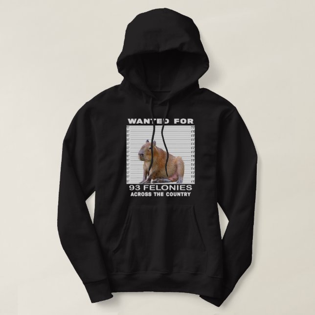 Capybara Lover Wanted For 93 Felonies Across The C Hoodie (Design Front)