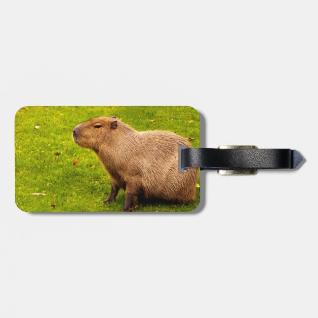 Capybara Luggage Tag (Back Horizontal)