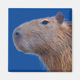 Capybara Magnet