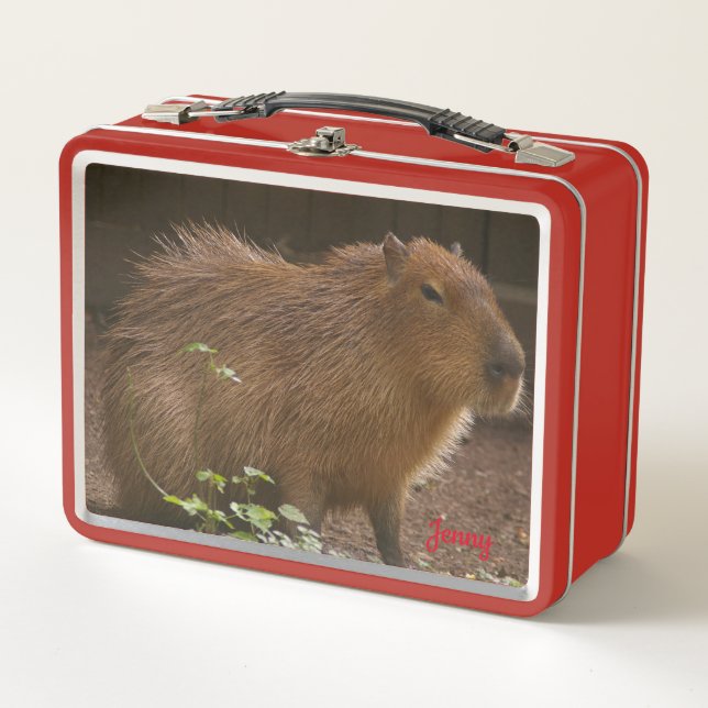 Capybara Metal Lunch Box (Front)