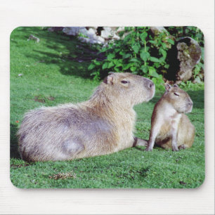 Capybara Mom and Son Mousepad