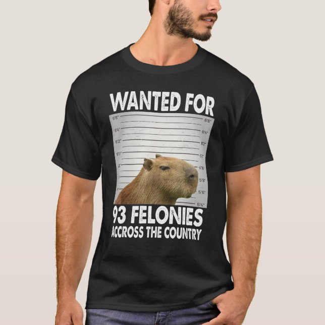 Capybara Mugshot Wanted For 93 Felonies Across The T-Shirt (Front)