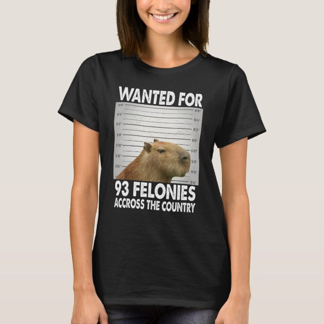Capybara Mugshot Wanted For 93 Felonies Across The T-Shirt (Front)