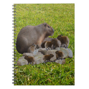 Capybara Mummy With Babies, Notebook