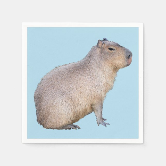 Capybara Napkin (Front)