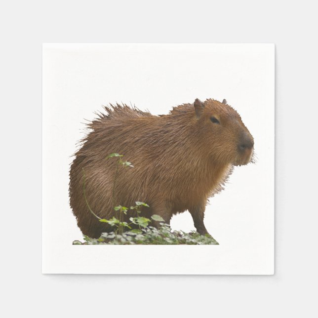 Capybara Napkin (Front)