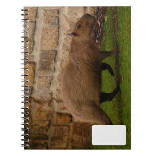 capybara notebook